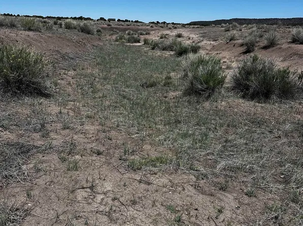 37 Airport Fld, Quemado, NM 87829