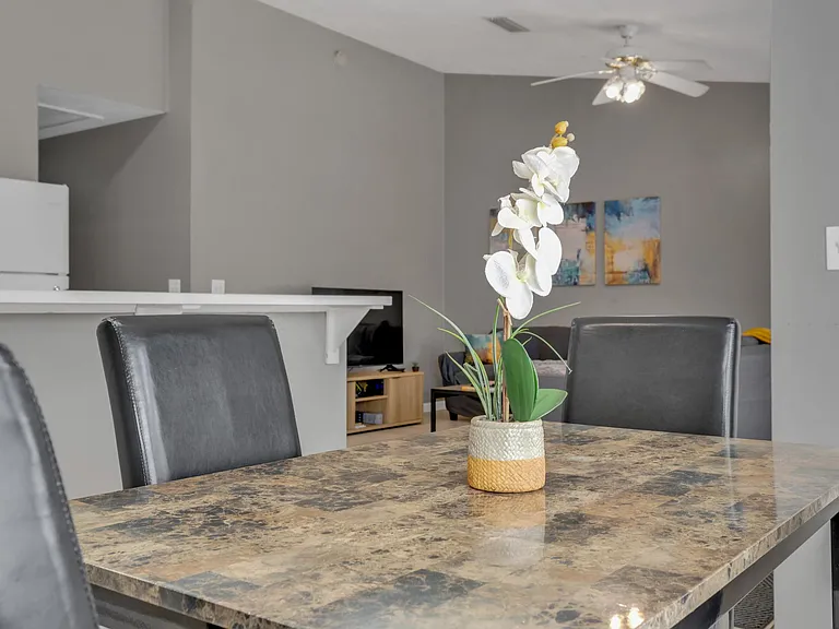 213 Cactus St — Photo 33