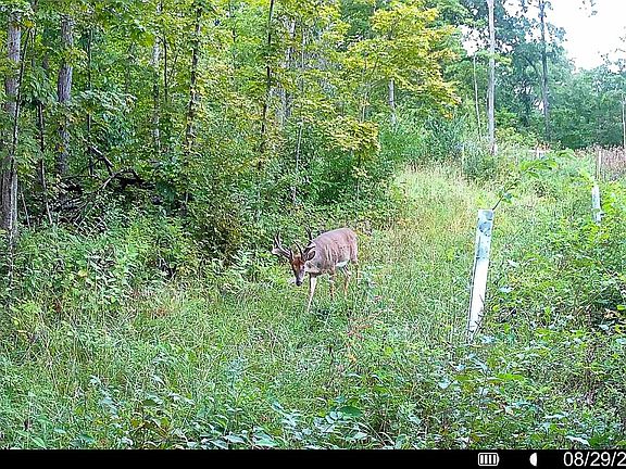 4th image of 40009 COUNTY RD S