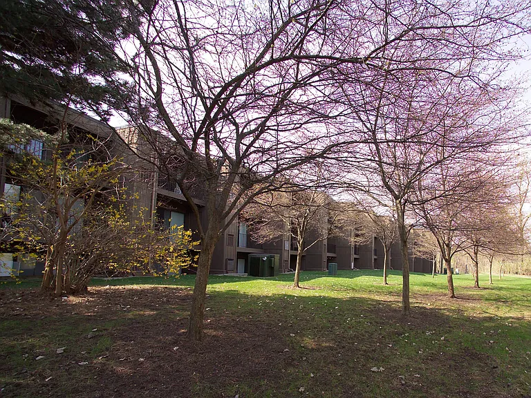 Campus View Apartments — Photo 13