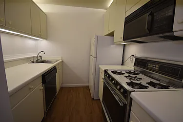 Rented by Yoram Adin, LREB