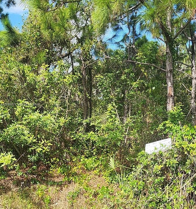 1st image of 29256 Maris Dr