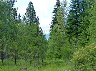 5 Hoyt Rd, Trout Lake, WA 98650