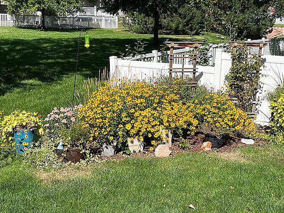 Wild flower garden