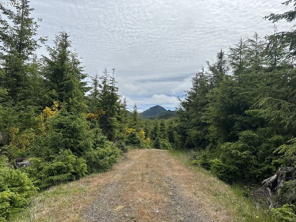 0 Sugarloaf Rd, Seaside, OR 97138