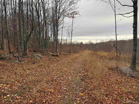 3rd image of Greenwood Mine Rd