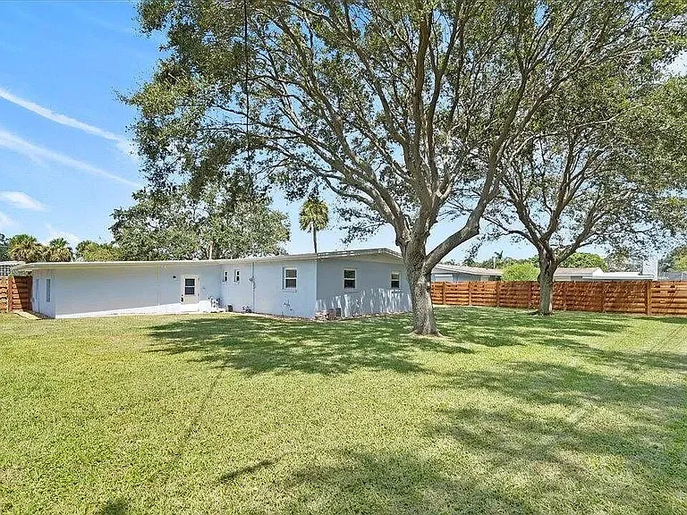 Back yard
