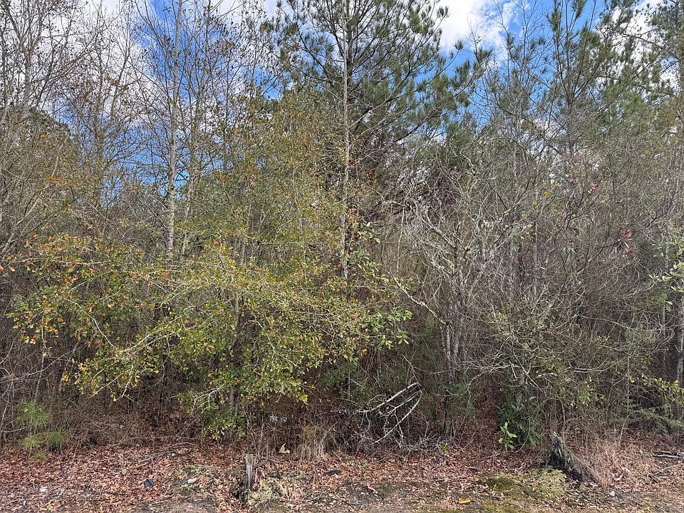 2nd image of 0 Erlene Watts Rd