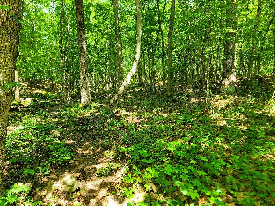 4th image of 159-161 Sugarbush Cir