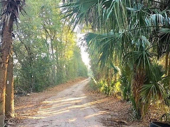 15556100_10207727101711425_910927772_n