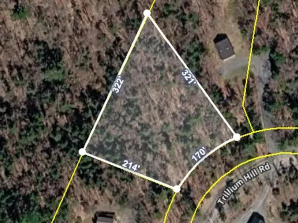 60 Trillium Hill Road, Pittsfield, VT 05762