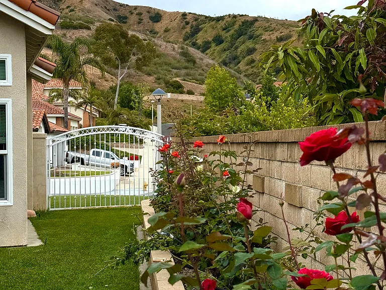 Side yard