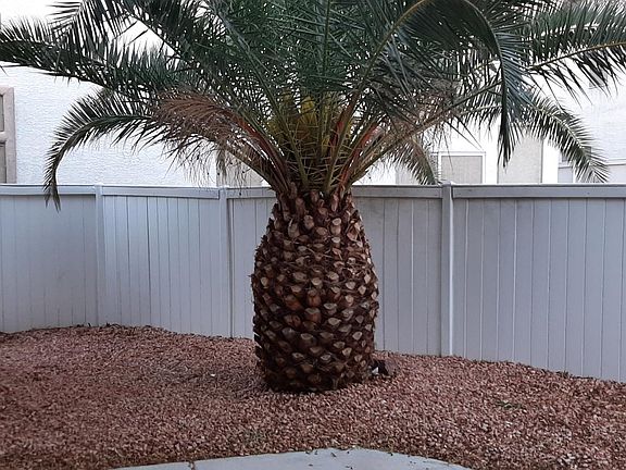 3rd image of 4722 English Lavender Ave
