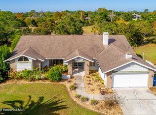 10231 Sunburst Ct, Spring Hill, FL 34608
