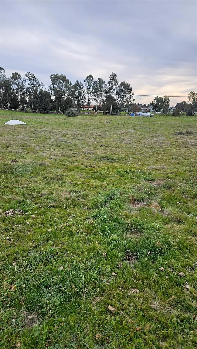 0 El Camino Rd photo 1