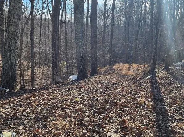 0 Marina Ridge Rd, Holladay, TN 38341