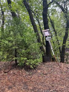 0 Wildcat Ridge Rd, Sonora, CA, 95370