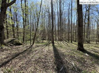 Katie Ln, Bakersville, NC 28705