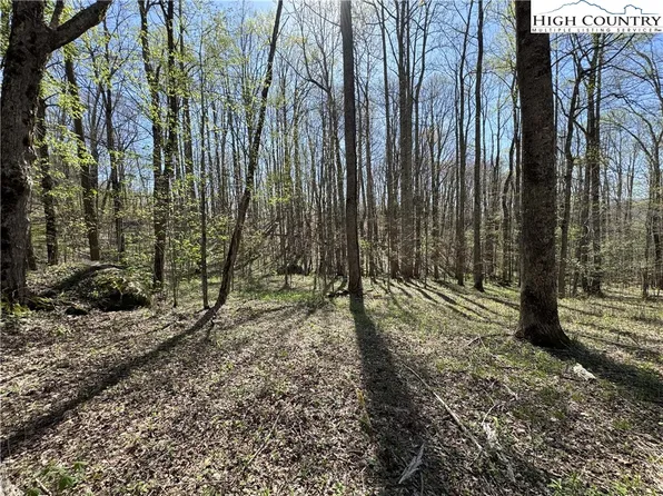 TBD Katie Lane, Bakersville, NC 28705