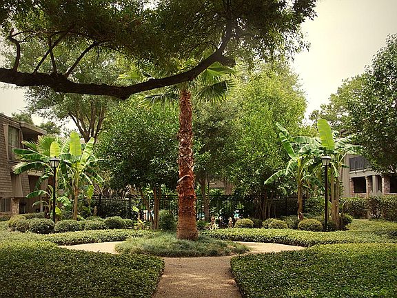 Court yard 