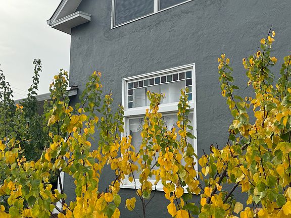 3rd image of 921 Palm St Unit A