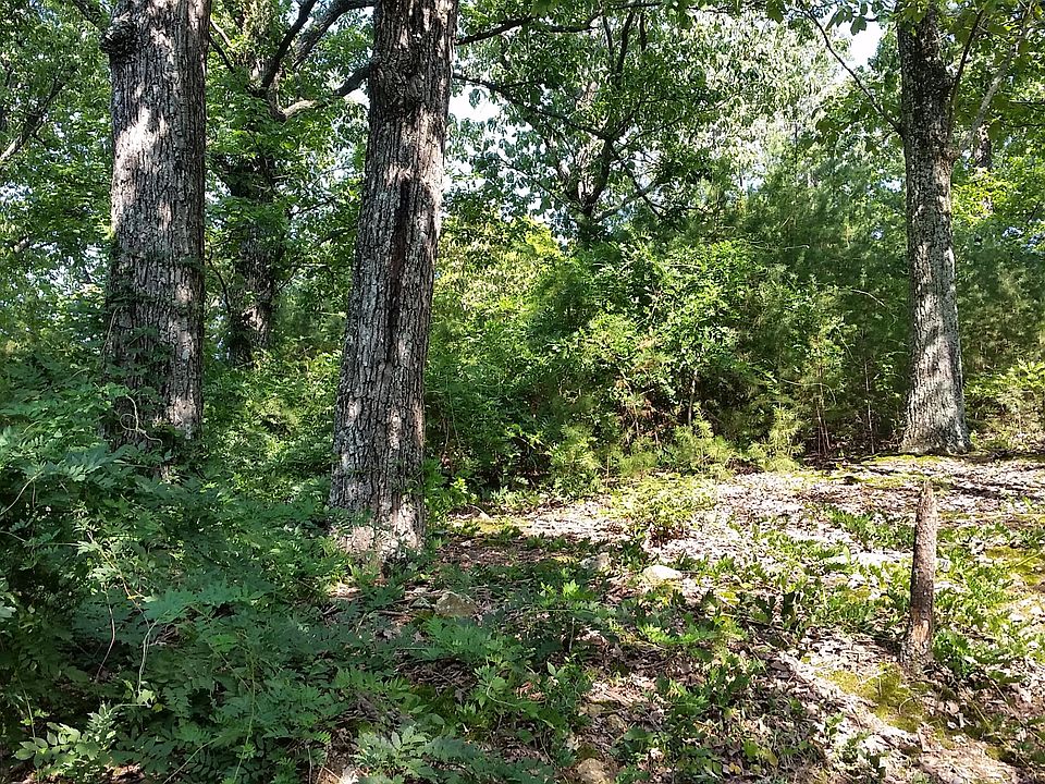2nd image of 5718 S Briscoe Cir