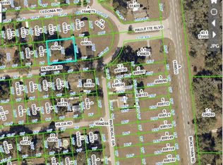 33167 Patrice Rd, Dade City, FL 33523