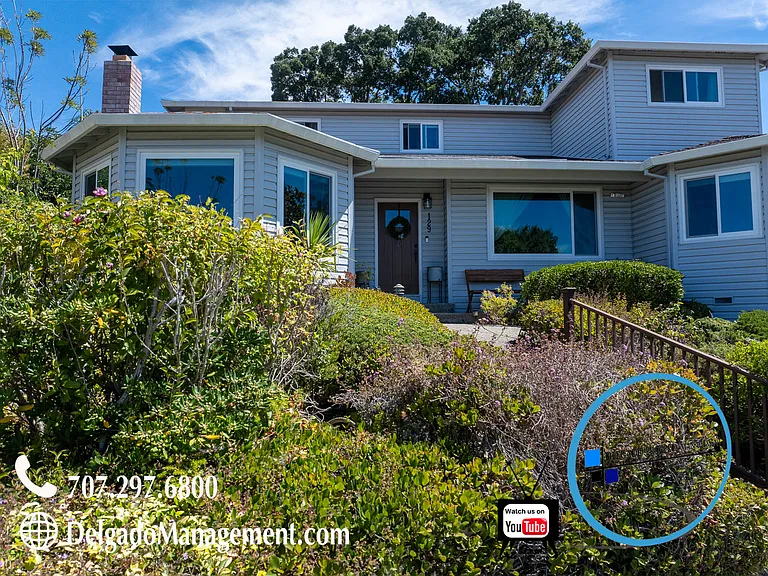129 Harbor Vista Ct — Photo 46