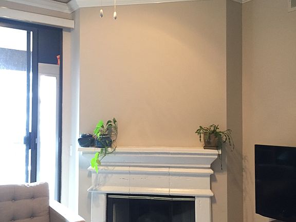 Wood-burning fireplace in living room