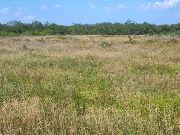 49 Boren Private Rd, Wortham, TX 76693