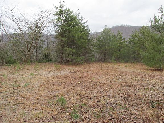 4th image of 0 Buffalo Ln