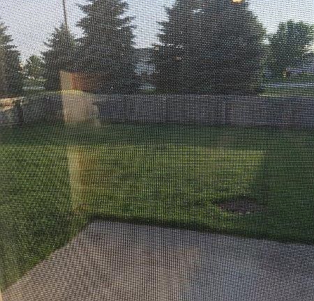 Spacious fenced backyard