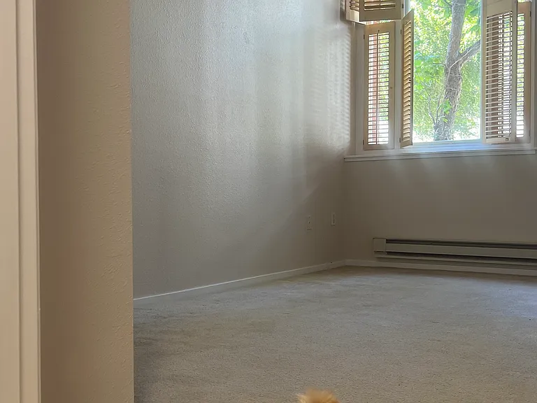 95 McCoppin St #E103 — Photo 15