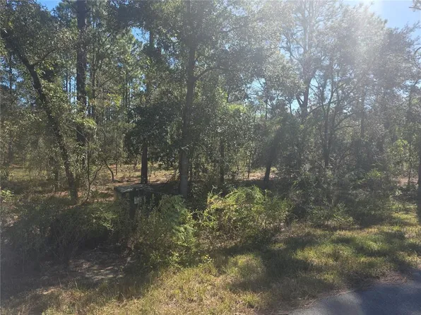 LOT 30 NW Holly Rd Lot 30, Dunnellon, FL 34431