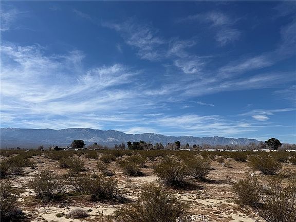 5th image of 10248 Cavetto Rd