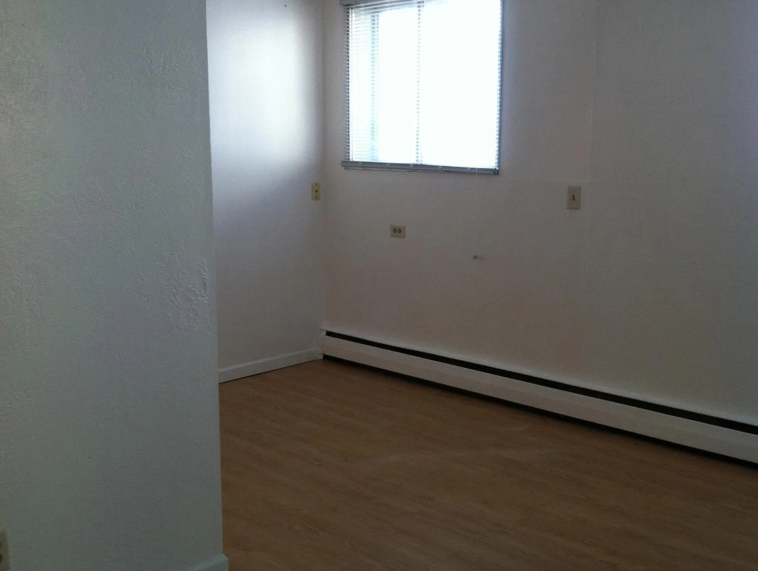 1 bed, 492 sqft, $1,050 — Photo 2