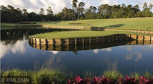 4th image of 11539 Arnold Palmer Dr