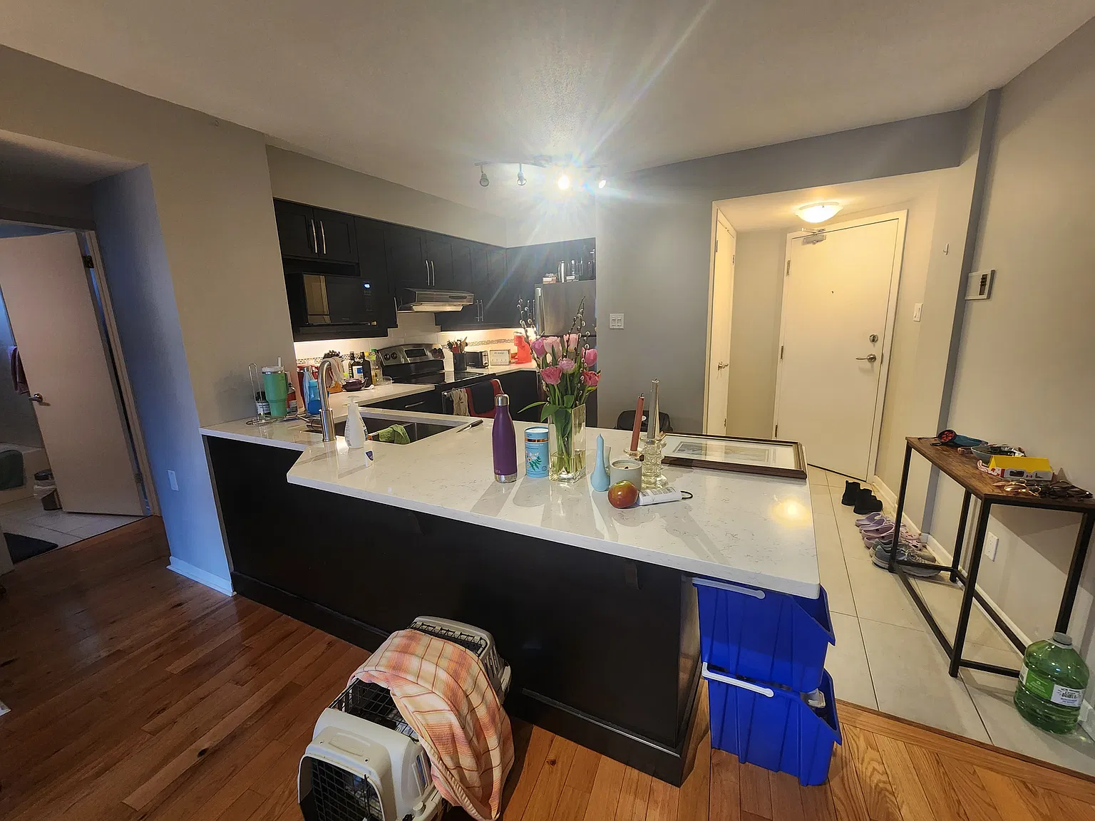 595 Somerset Street West — Photo 2