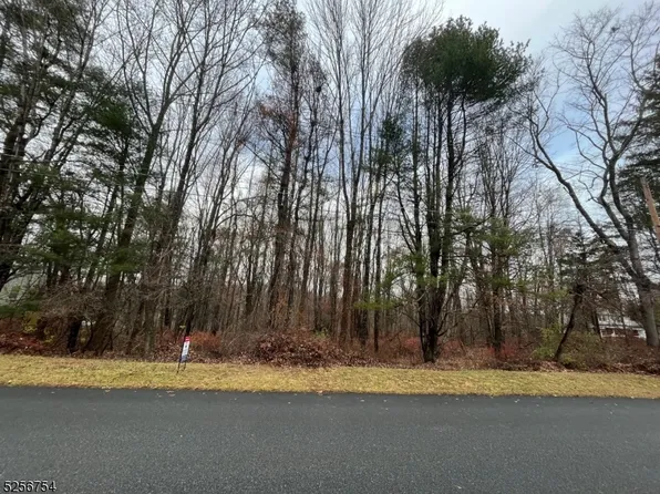 11 Chandoga Dr, Hampton Twp., NJ 07860
