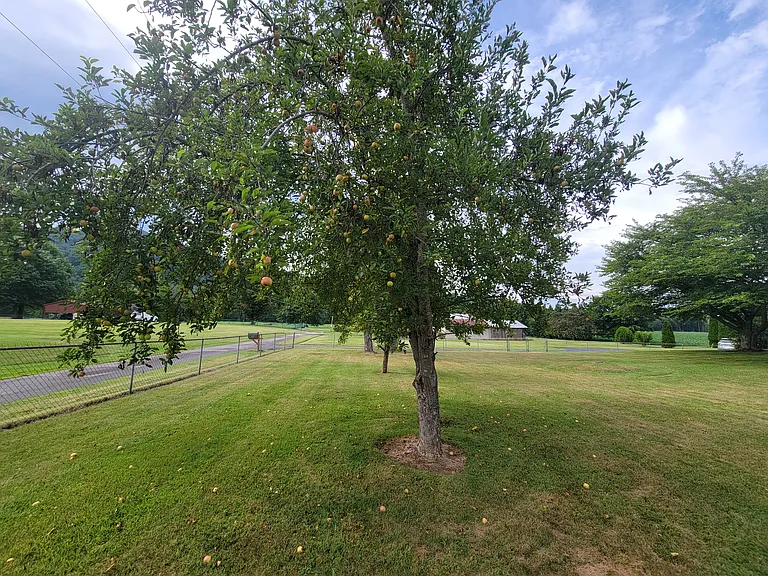 100 Shannondoah Dr — Photo 5