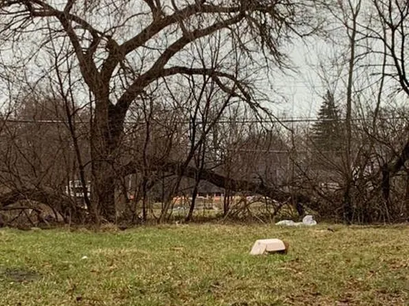 332 Manistique St, Detroit, MI 48215