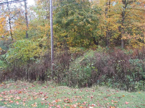 0 Lutes Rd, Finleyville, PA 15332