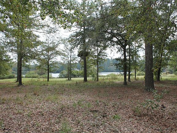 3rd image of Wolf Creek Dr