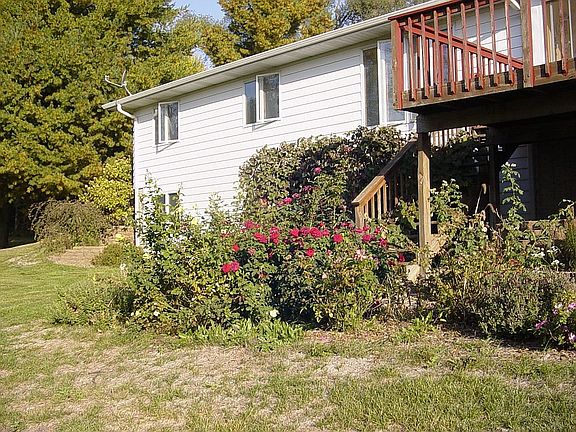 Back side/ walk out basement