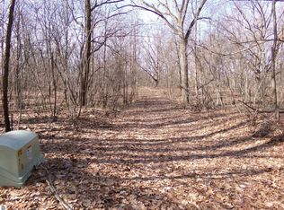 E River Run Dr, Mount Pleasant, MI 48858