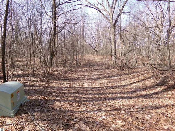 E River Run Dr, Mount Pleasant, MI 48858