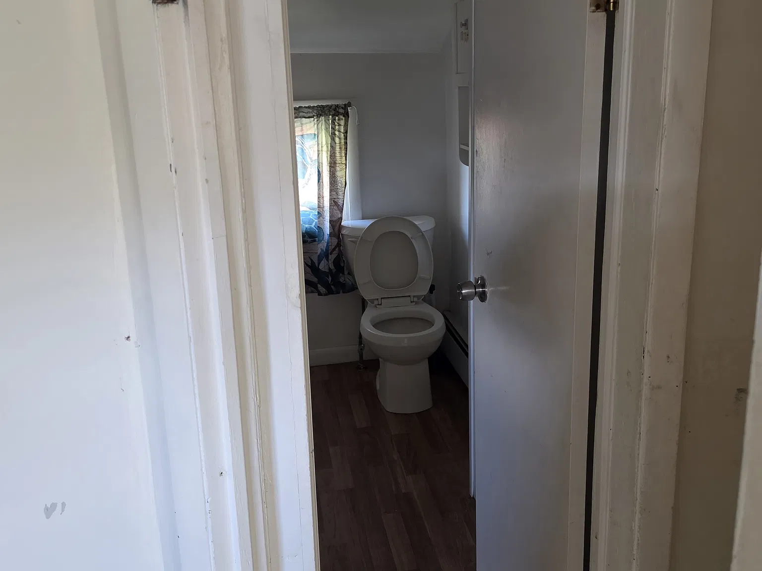 2 bed, 780 sqft, $1,450 — Photo 3
