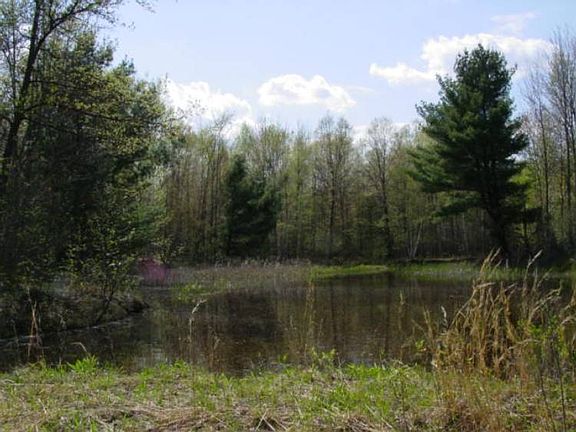 The smaller pond.
