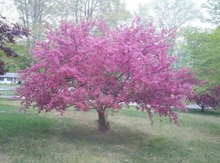 46 Boardman St, Belchertown, MA 01007