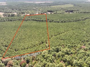 0 Sunflower Rd, Livingston, TX 77351